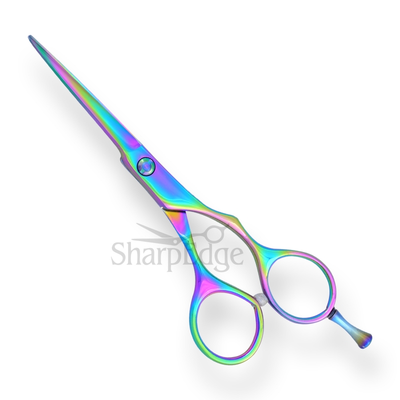 Professional Hair Dressing Scissors 